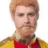 Prince Adult Wig & Beard -Video Game Costumes Shop FR24994 full 1