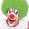 Green Clown Adult Wig -Video Game Costumes Shop R50752 full 1