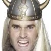 Viking Warrior Helmet Accessory
