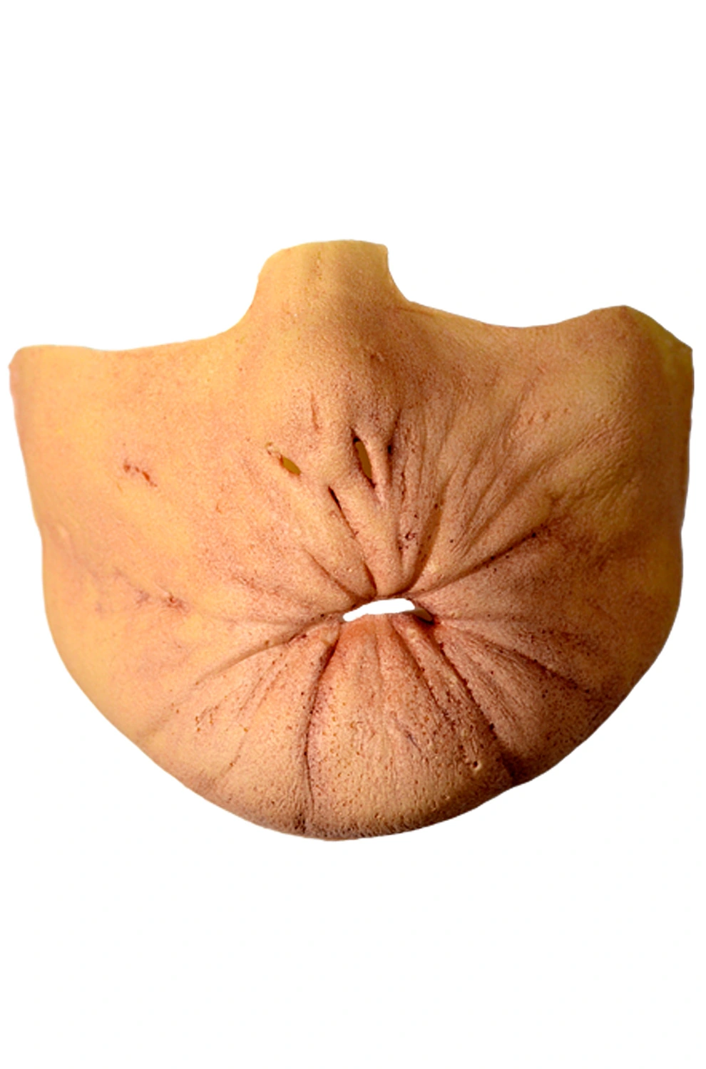 Arseface Appliance Kit 3 Arseface Appliance Kit