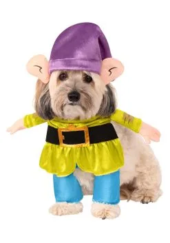 Rubies Costume Co. Inc Disney Dog Costume- Dopey