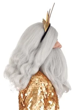 Partytime Wig Disney King Triton Beard And Wig Accessory Kit -Video Game Costumes Shop king triton beard and wig kit alt 3