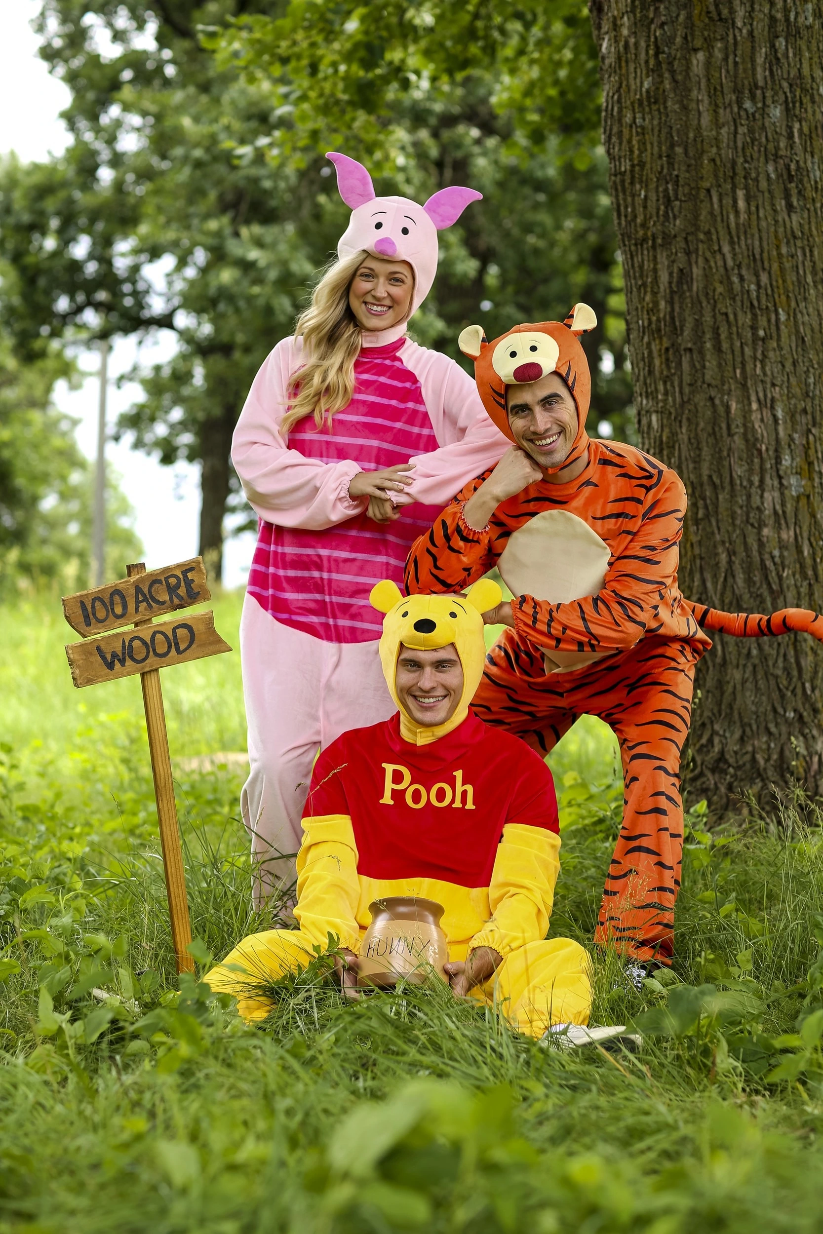 Disguise Limited Adult Deluxe Winnie The Pooh Piglet Costume 10 Disguise Limited Adult Deluxe Winnie The Pooh Piglet Costume - Image 8